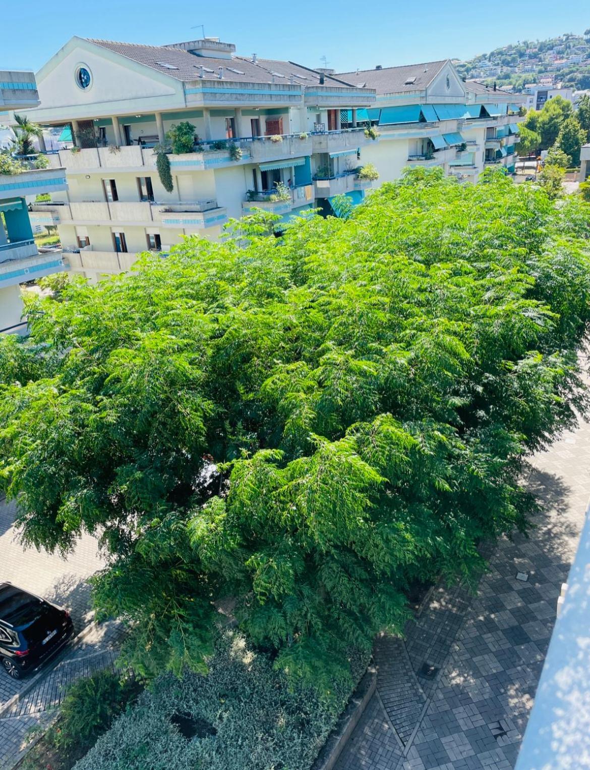 Montesilvano Marina Attico Vista E Fronte Mare Zaffiroblu Con Posto Auto 아파트 외부 사진